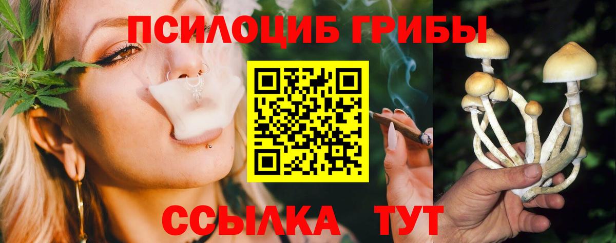 Галлюциногенные грибы мухоморы  Вход с VPN  Черногорск 